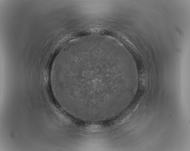 X0000112750593200909031528