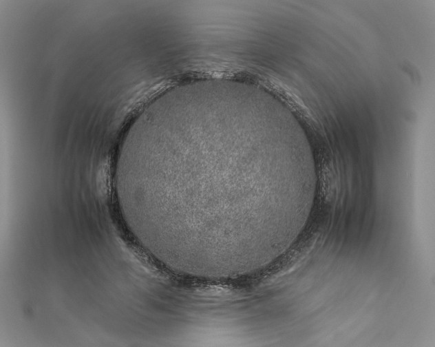 X0000112750594200909031528