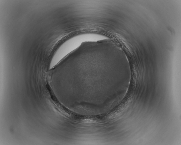 X0000112750596200909031528