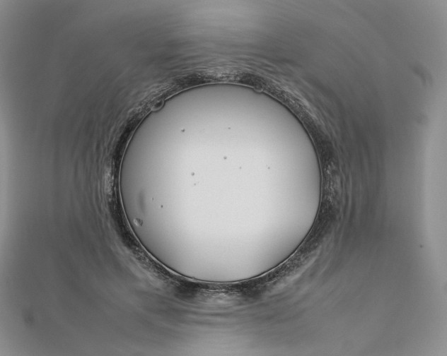 X0000112750597200909031528