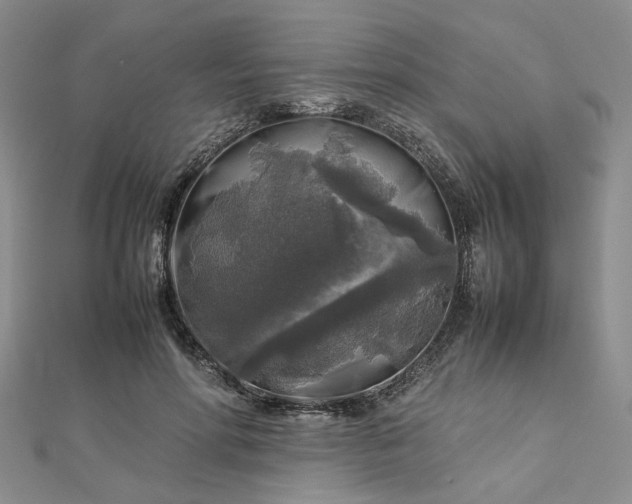 X0000112750598200909031528