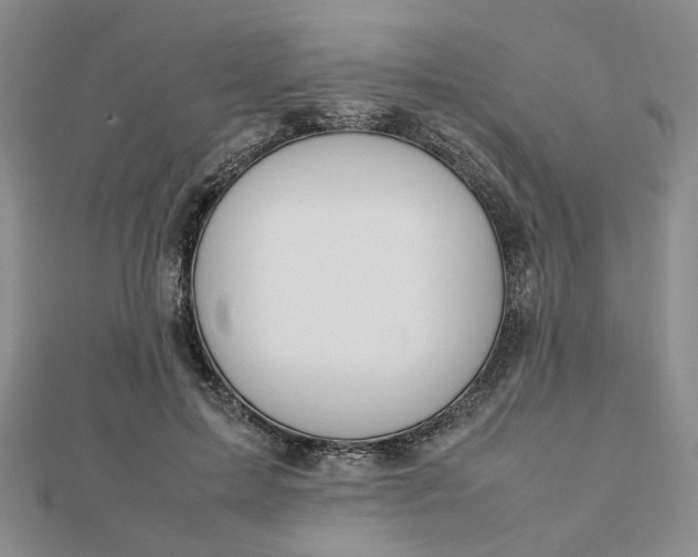 X0000112750599200909031528