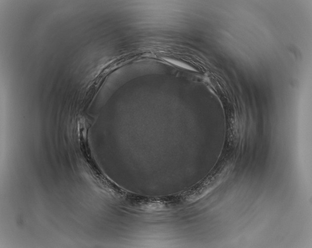 X0000112750600200909031528