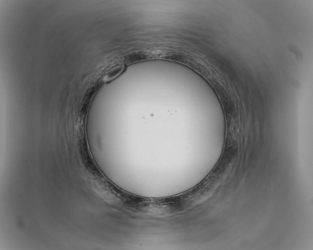 X0000112750601200909031528