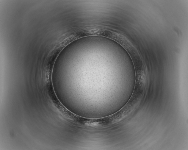 X0000112750602200909031528