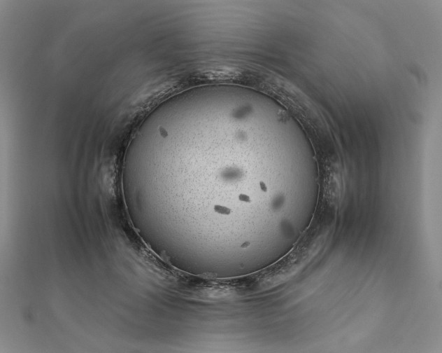 X0000112750604200909031528