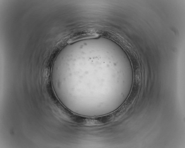 X0000112750605200909031528