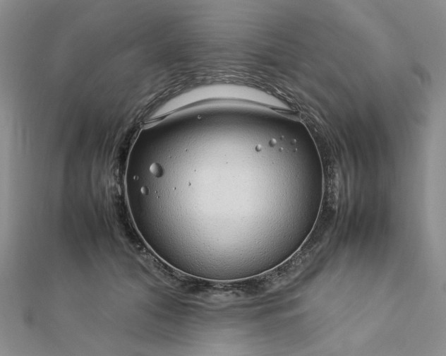 X0000112750608200909031528