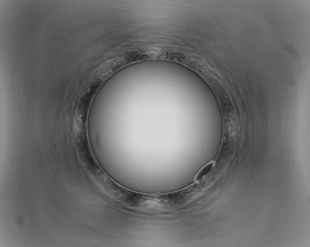 X0000112750611200909031528