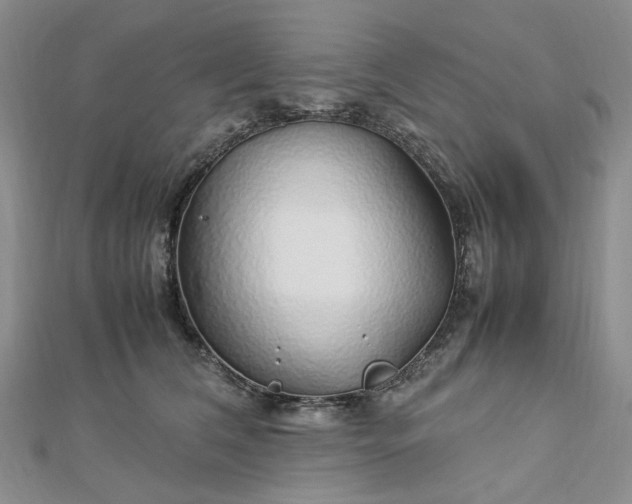 X0000112750612200909031528