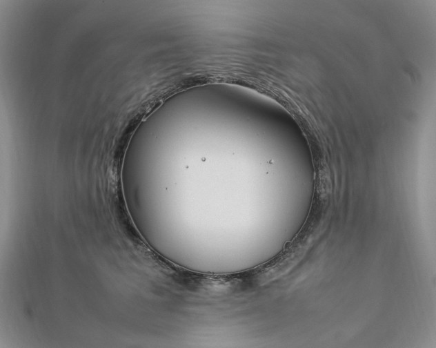 X0000112750613200909031528