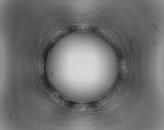 X0000112750615200909031528