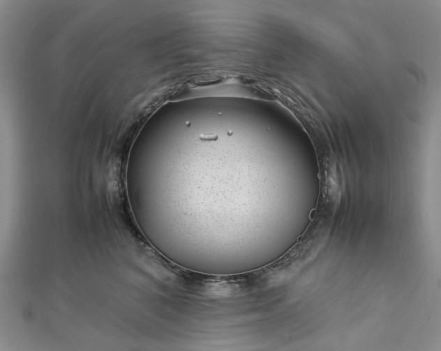 X0000112750616200909031528