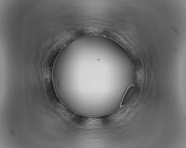 X0000112750617200909031528