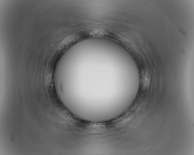 X0000112750619200909031528