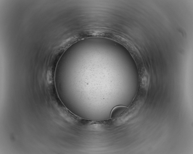 X0000112750620200909031528