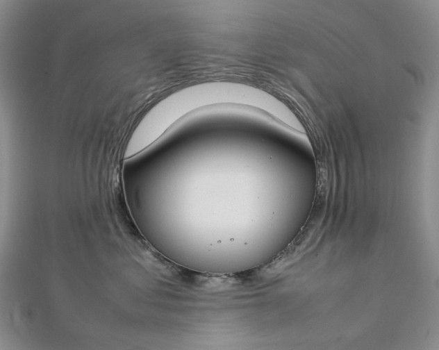 X0000112750621200909031528