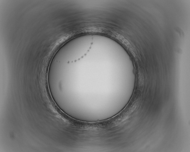 X0000112750625200909031527