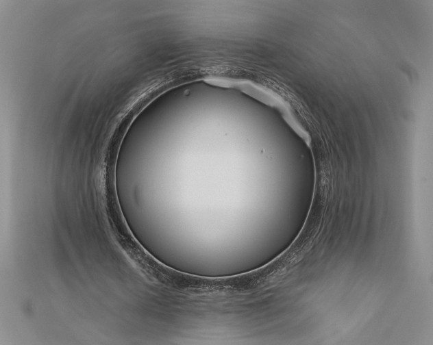 X0000112750626200909031527