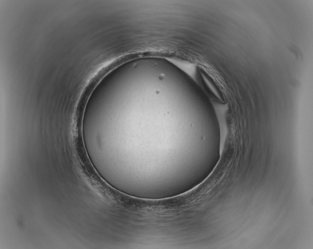 X0000112750628200909031527