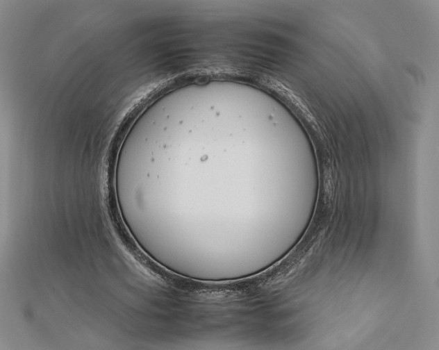 X0000112750629200909031527