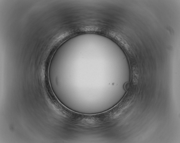 X0000112750631200909031527