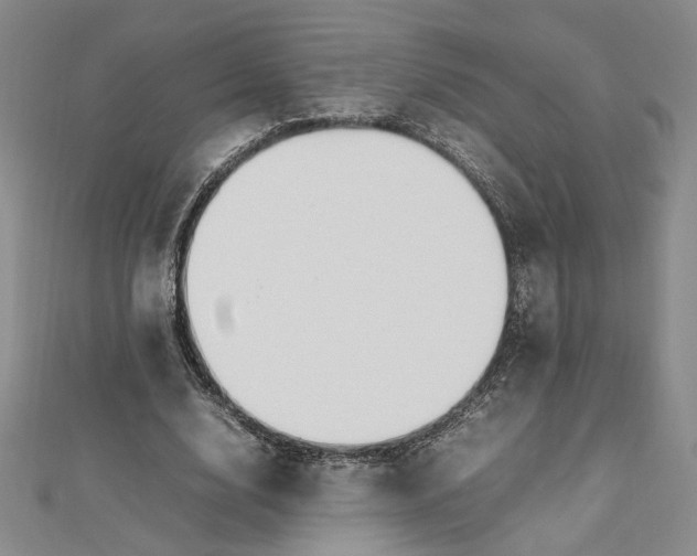 X0000112750632200909031527