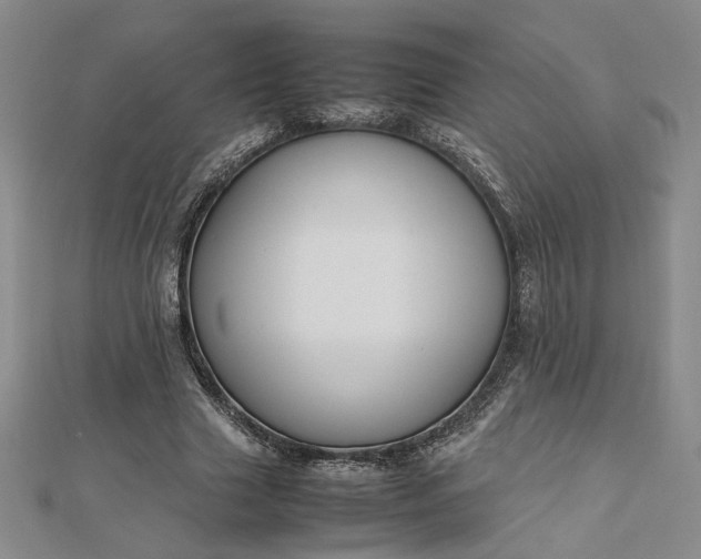 X0000112750633200909031527