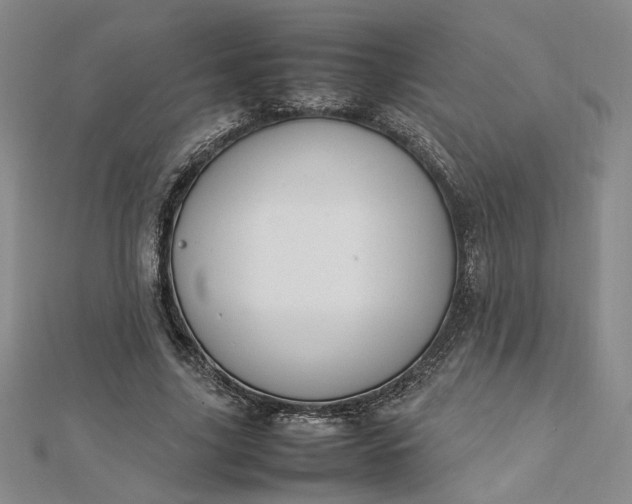 X0000112750635200909031527