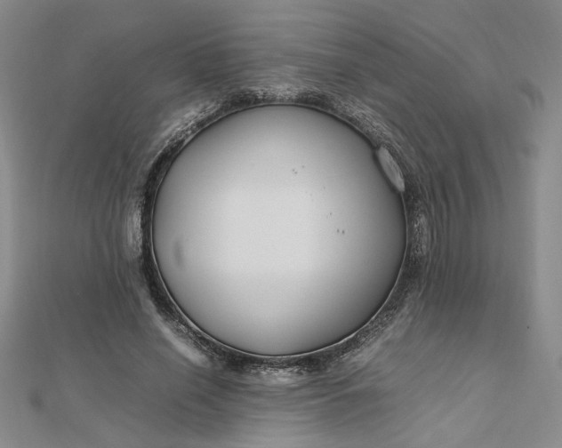 X0000112750638200909031527