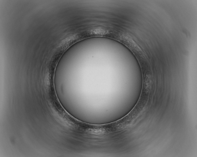 X0000112750639200909031527