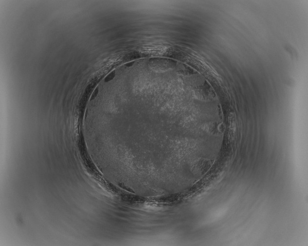 X0000112750641200909031527