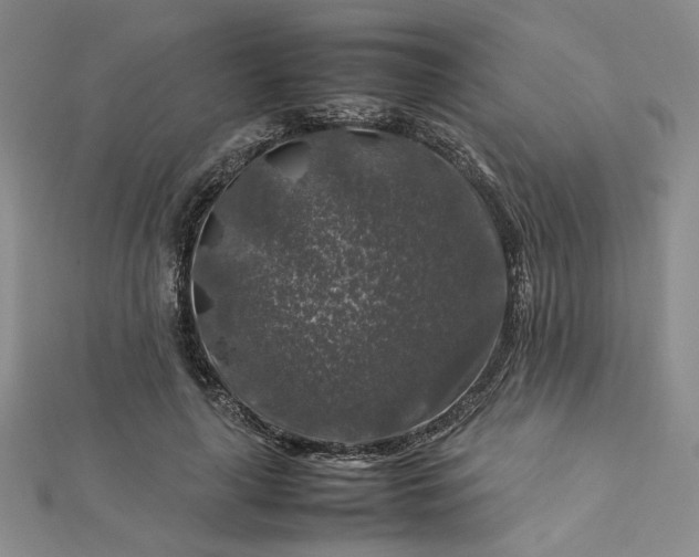 X0000112750643200909031527