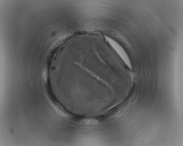 X0000112750644200909031527