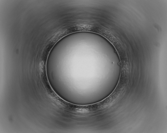 X0000112750649200909031527