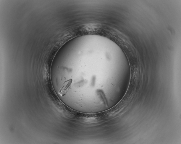 X0000112750651200909031528