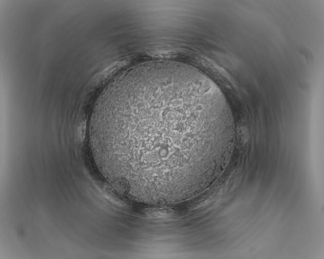 X0000112750652200909031528