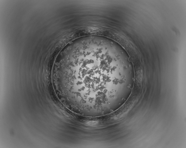 X0000112750653200909031528