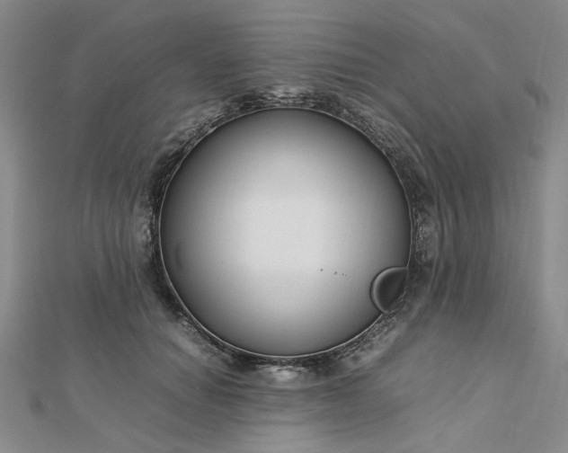 X0000112750654200909031528