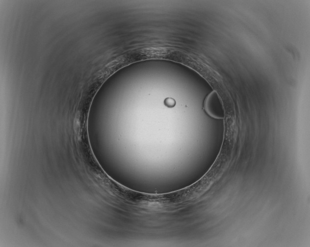 X0000112750655200909031528