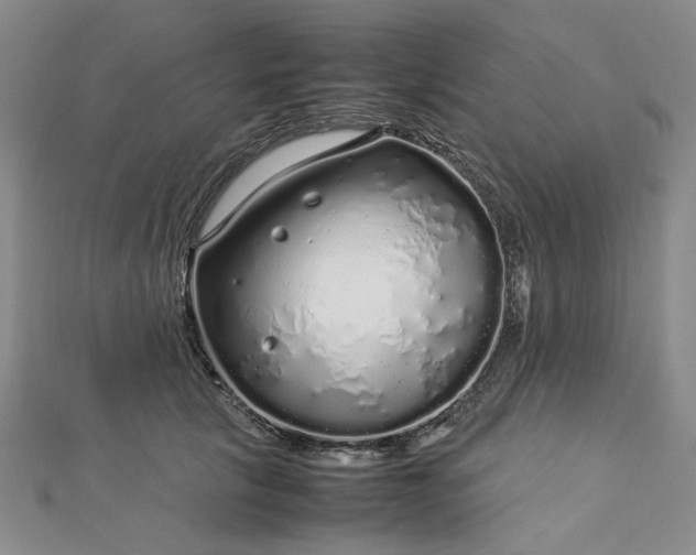 X0000112750657200909031528