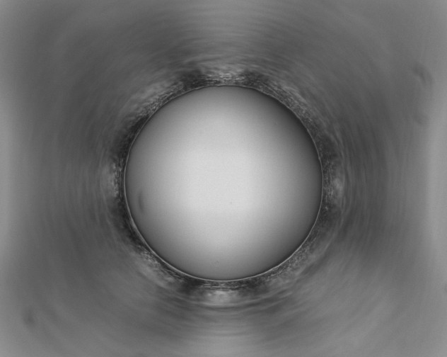 X0000112750658200909031528