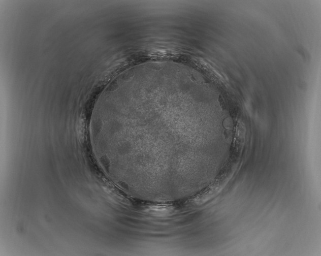 X0000112750659200909031528