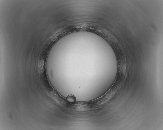 X0000112750660200909031528