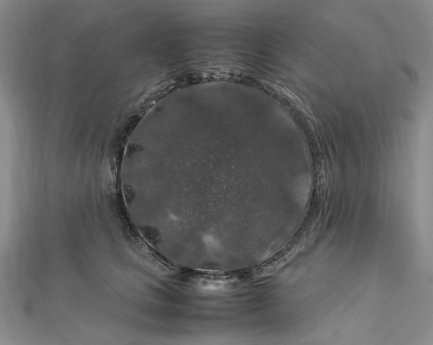 X0000112750661200909031528