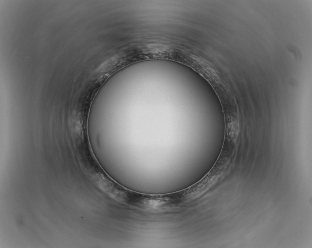 X0000112750662200909031528