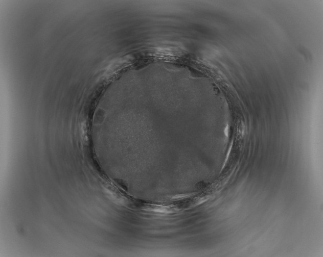 X0000112750663200909031528