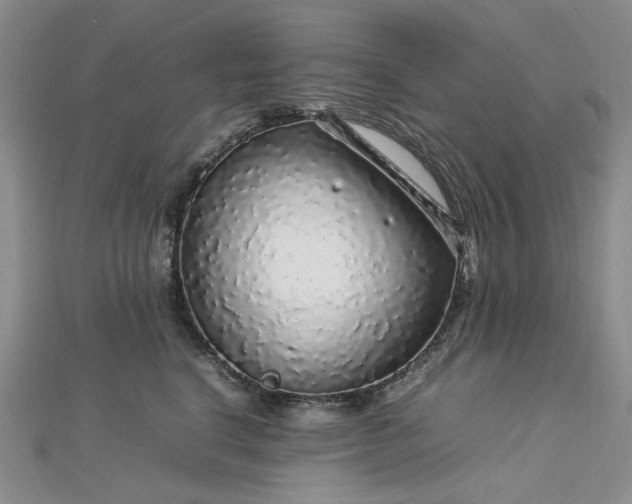 X0000112750664200909031528