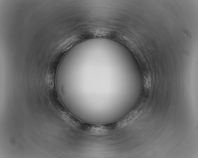 X0000112750666200909031528