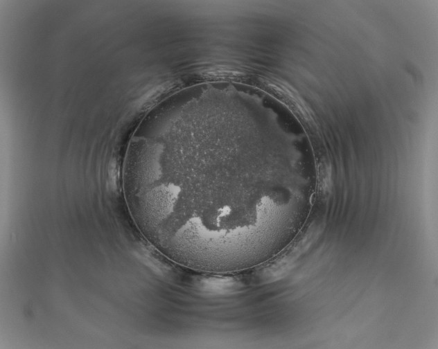 X0000112750669200909031528